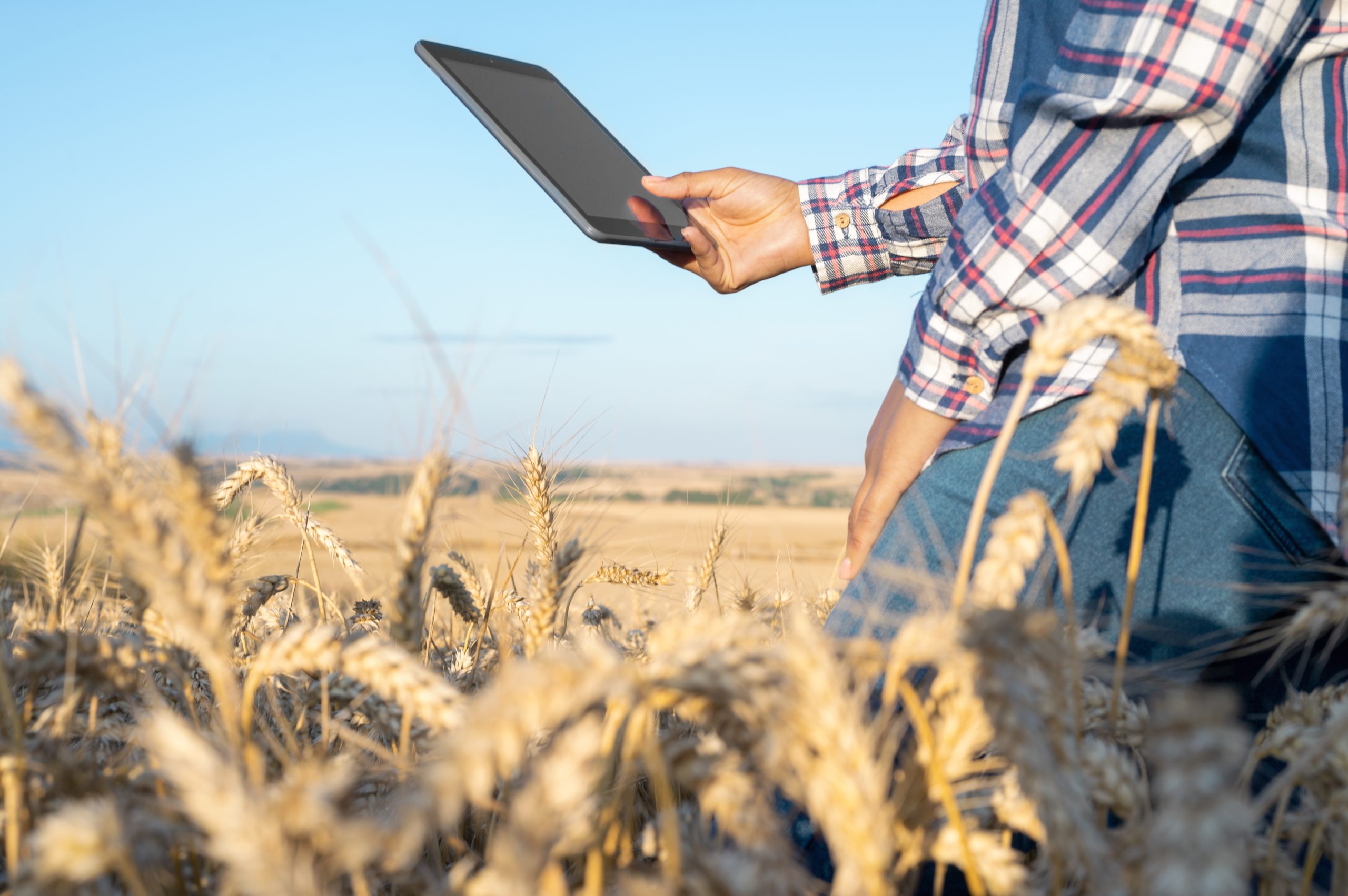 Exportações do agro catarinense ganham força com acordo União Europeia-Mercosul