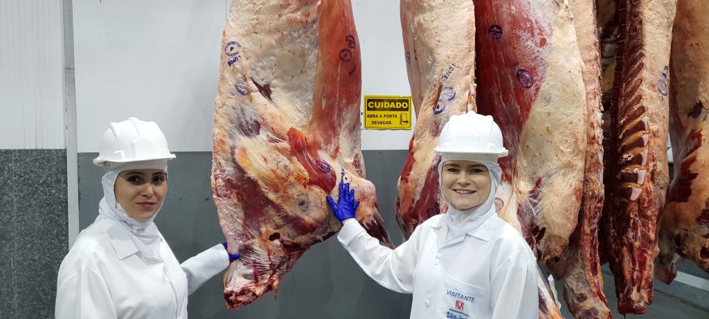 Profissionais realizam inspeção sanitária em frigorífico, com carcaças bovinas penduradas para avaliação, seguindo protocolos de controle e segurança alimentar.